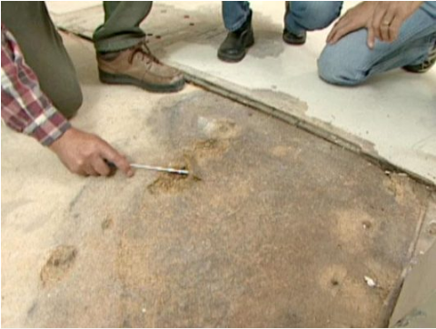 THI CÔNG SƠN EPOXY KẺ VẠCH KHO NHÀ XƯỞNG