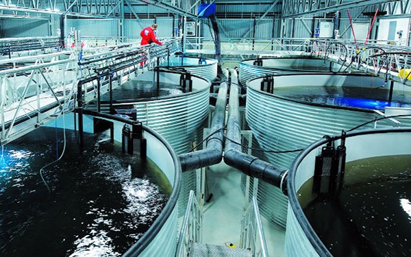 Thi công sơn epoxy Thi công sơn epoxy